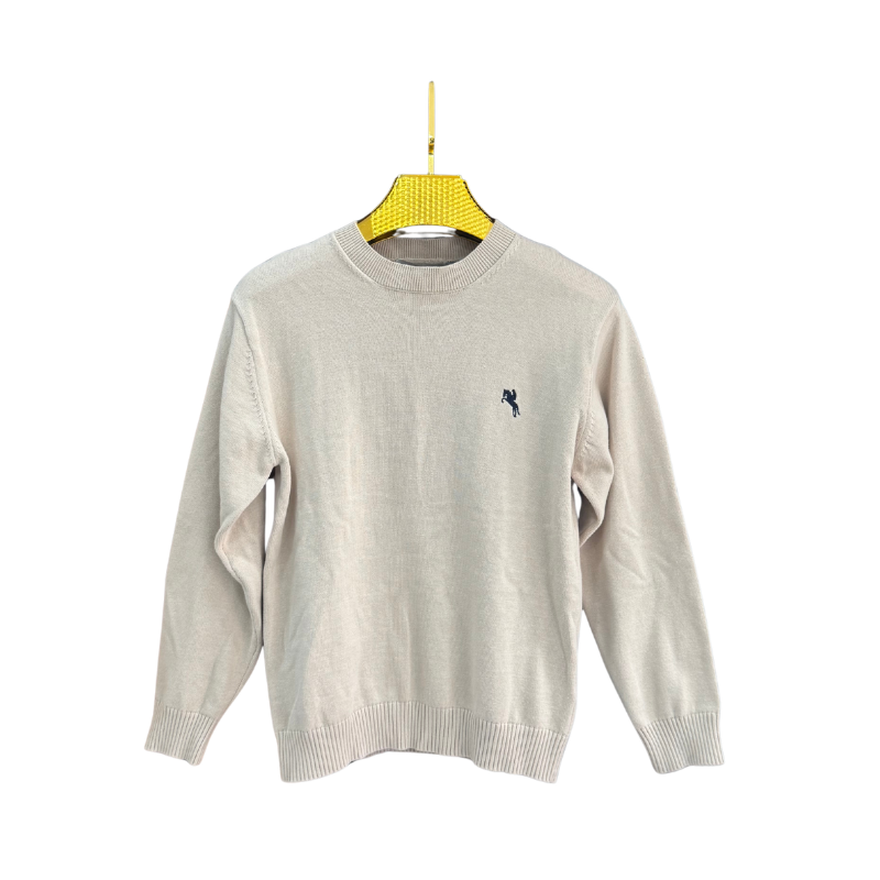 Pull garçon col rond uni – Beige