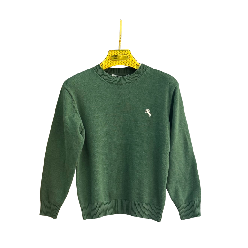 Pull garçon col rond uni – Vert